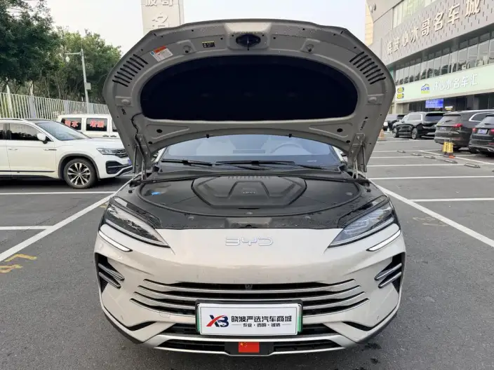 BYD Song PLUS DM 2025 Model DM-i 112KM Zunrong Model – фото 9