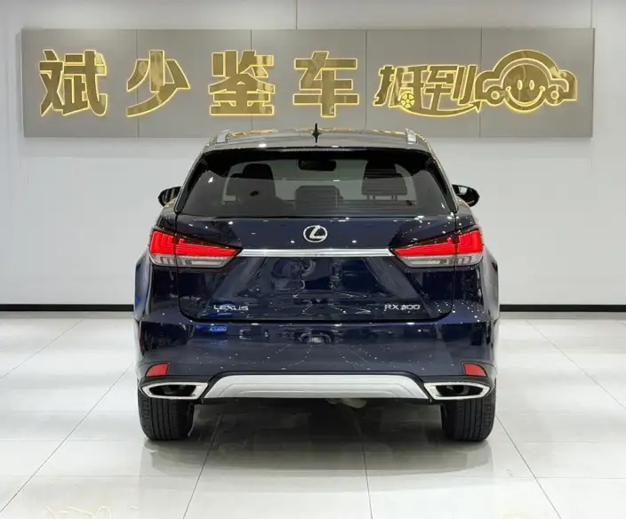 Lexus RX 2020 Model Facelift 300 2WD Comfort Edition – фото 5
