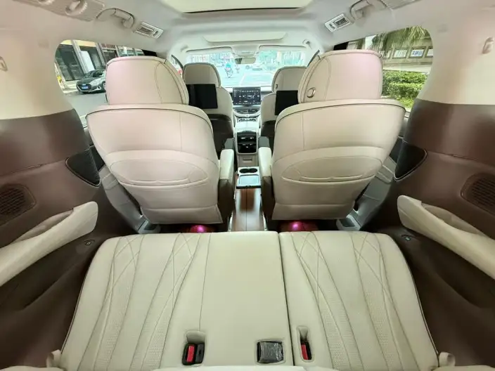 DENZA D9 DM 2022 Model 970 4WD Flagship Model – фото 9