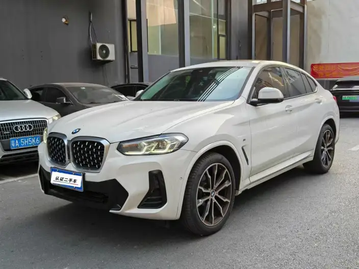 BMW X4 2022 Model xDrive 30i M Sports Set