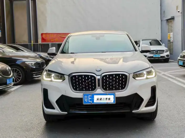 BMW X4 2022 Model xDrive 30i M Sports Set