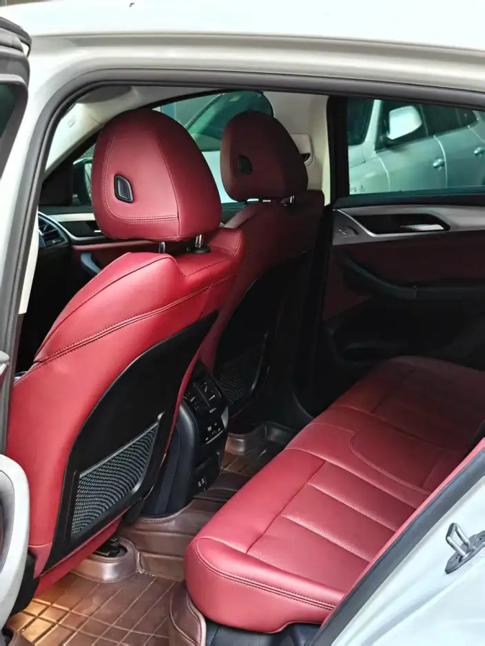 BMW X4 2022 Model xDrive 30i M Sports Set – фото 9