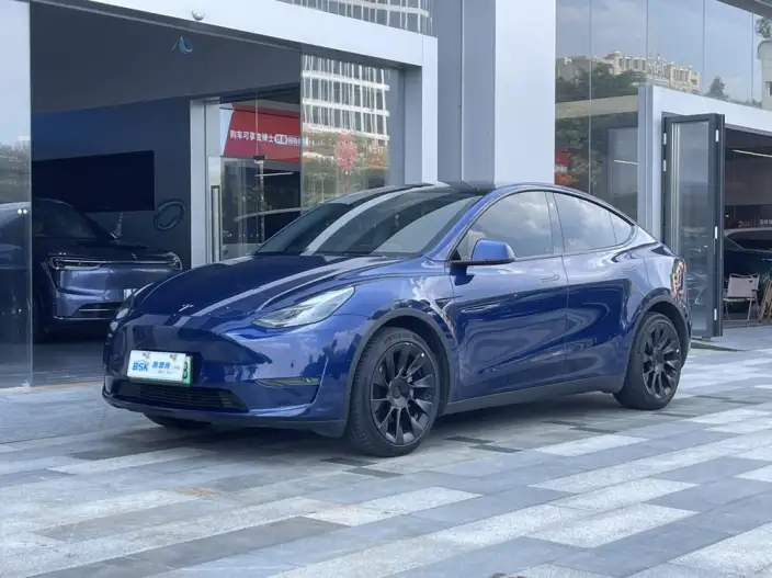Model Y 2022 Model Long Battery Life Pro All-wheel drive version – фото 1
