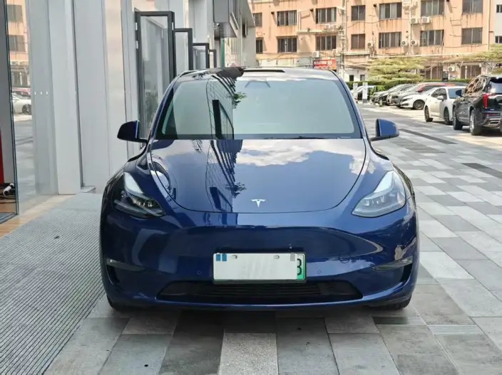 Model Y 2022 Model Long Battery Life Pro All-wheel drive version – фото 2