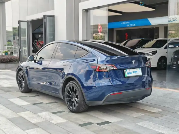 Model Y 2022 Model Long Battery Life Pro All-wheel drive version – фото 4
