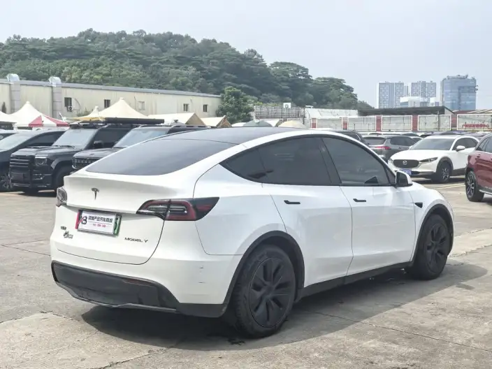 Model Y 2024 Model Rear-wheel drive version – фото 7