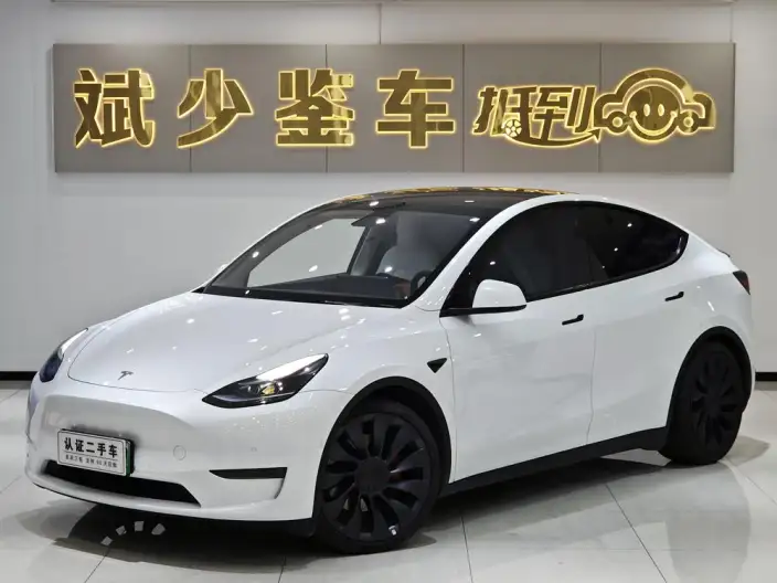 Model Y 2023 Model Performance High performance All-wheel drive version – фото 1