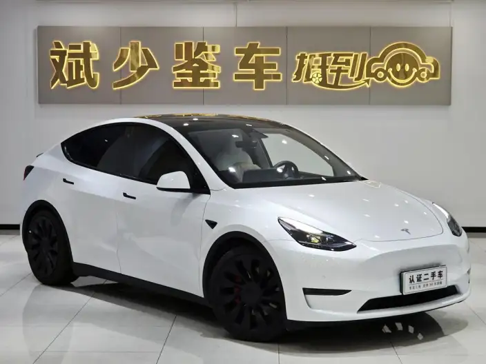 Model Y 2023 Model Performance High performance All-wheel drive version – фото 3