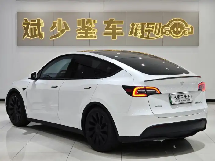 Model Y 2023 Model Performance High performance All-wheel drive version – фото 4