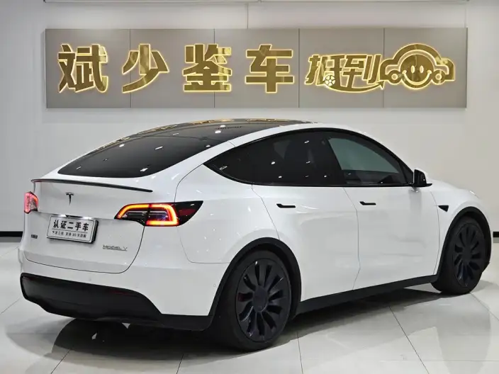 Model Y 2023 Model Performance High performance All-wheel drive version – фото 6