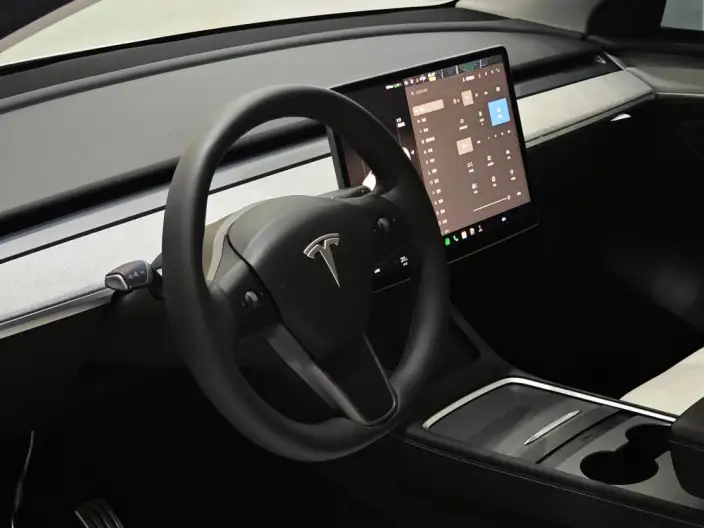 Model Y 2023 Model Performance High performance All-wheel drive version – фото 10