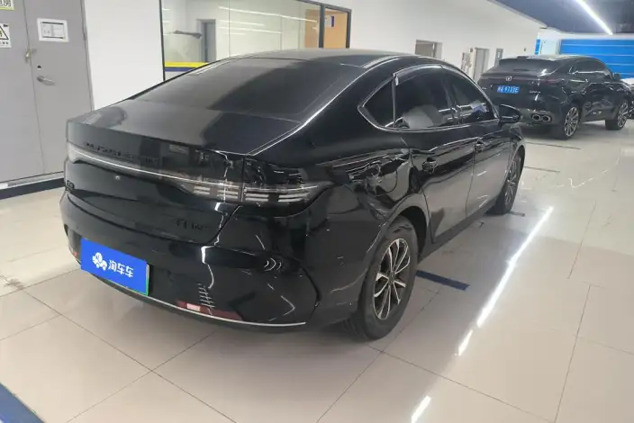 BYD Destroyer 05 2024 Model Honor Edition DM-i 55KM Luxury Model – фото 3