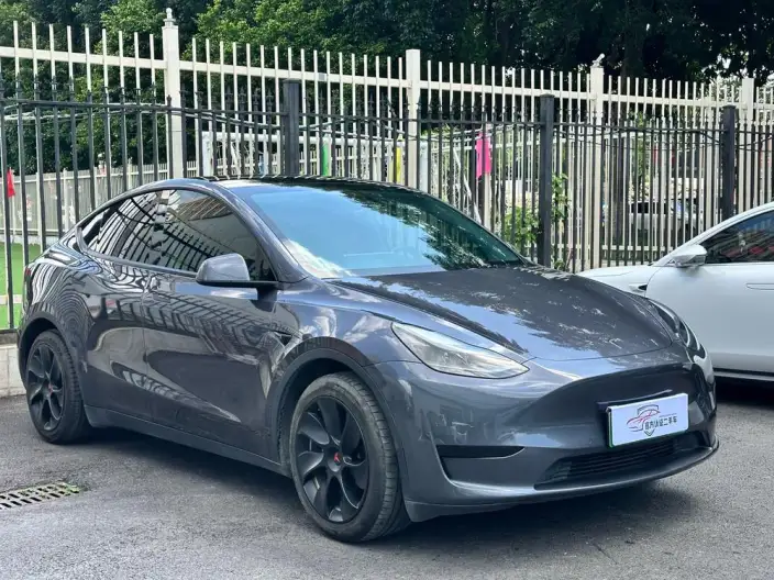 Model Y 2022 Model Rear-wheel drive version – фото 3