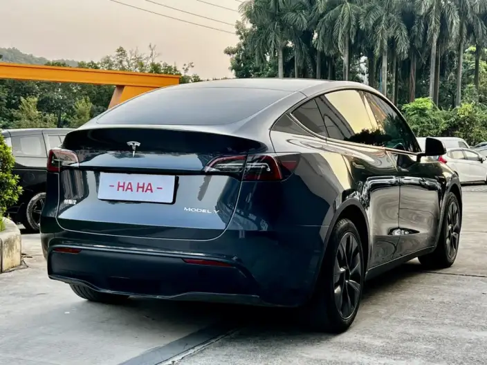 Model Y 2024 Model Rear-wheel drive version – фото 6