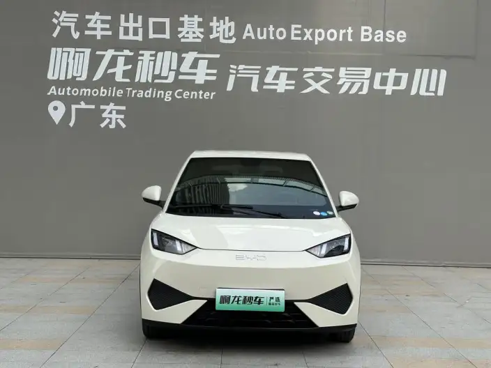BYD Seagull 2025 Model Smart Driving Edition 305KM Vitality Edition – фото 2