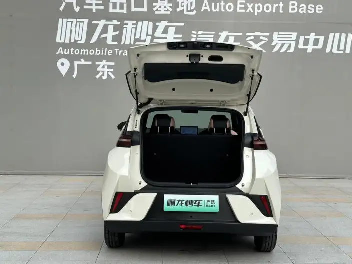 BYD Seagull 2025 Model Smart Driving Edition 305KM Vitality Edition – фото 4