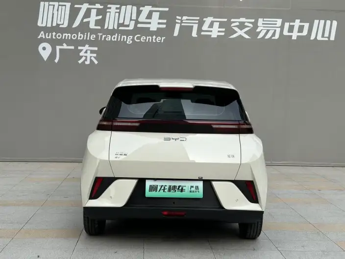 BYD Seagull 2025 Model Smart Driving Edition 305KM Vitality Edition – фото 7