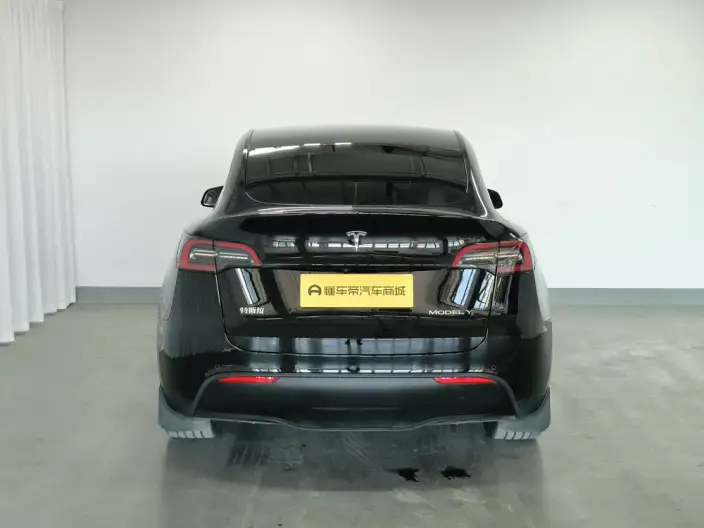 Model Y 2022 Model Facelift Rear-wheel drive version – фото 6