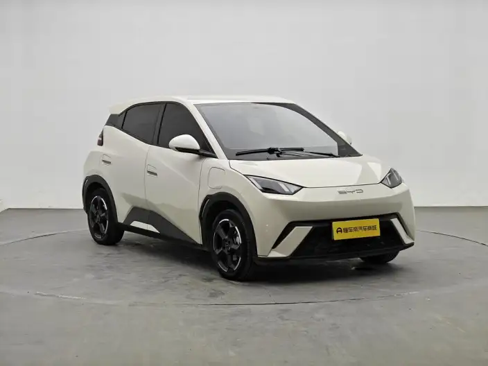 BYD Seagull 2023 Model Free Edition – фото 3