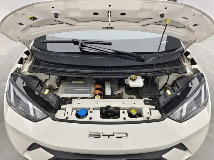 BYD Seagull 2023 Model Free Edition – фото 10