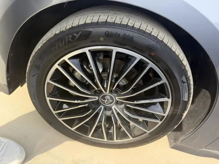 BYD Han DM 2022 Model DM-i 121KM Noble Model – фото 9