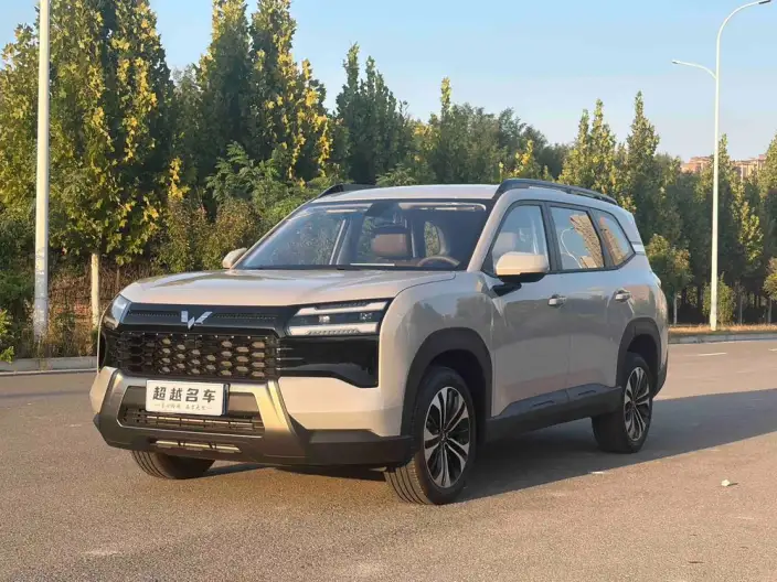 Xingguang 560 2026 Model 1.5T CVT Elite Model