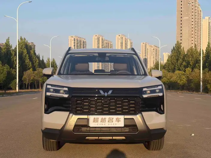 Xingguang 560 2026 Model 1.5T CVT Elite Model