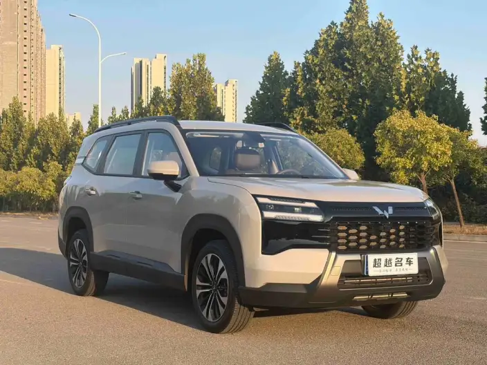 Xingguang 560 2026 Model 1.5T CVT Elite Model