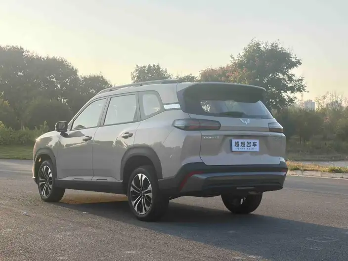 Xingguang 560 2026 Model 1.5T CVT Elite Model