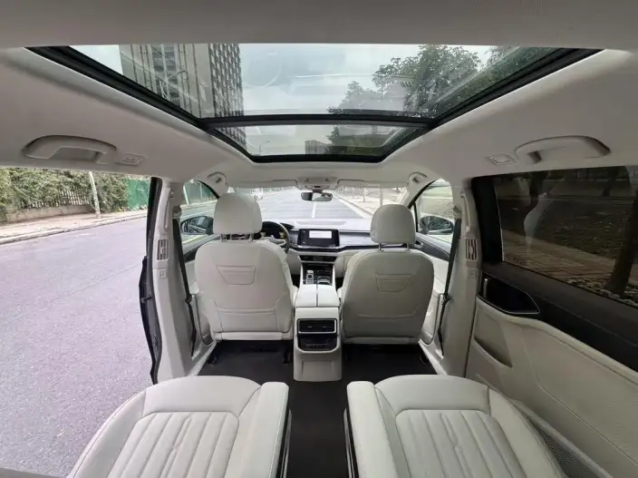 Viloran 2024 Model 330TSI Deluxe Edition – фото 8
