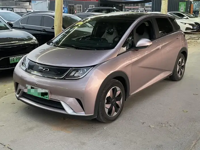 BYD Dolphin 2024 Model Honor Edition 420km Free Edition – фото 1