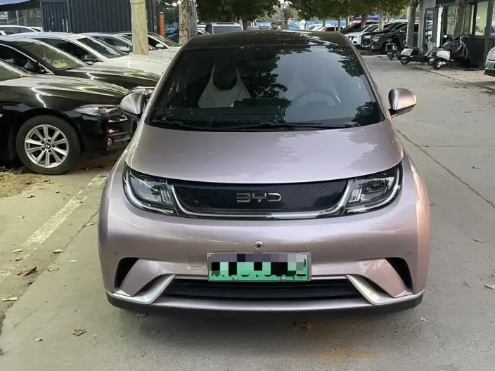 BYD Dolphin 2024 Model Honor Edition 420km Free Edition – фото 2