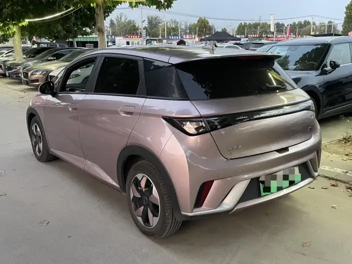 BYD Dolphin 2024 Model Honor Edition 420km Free Edition – фото 3