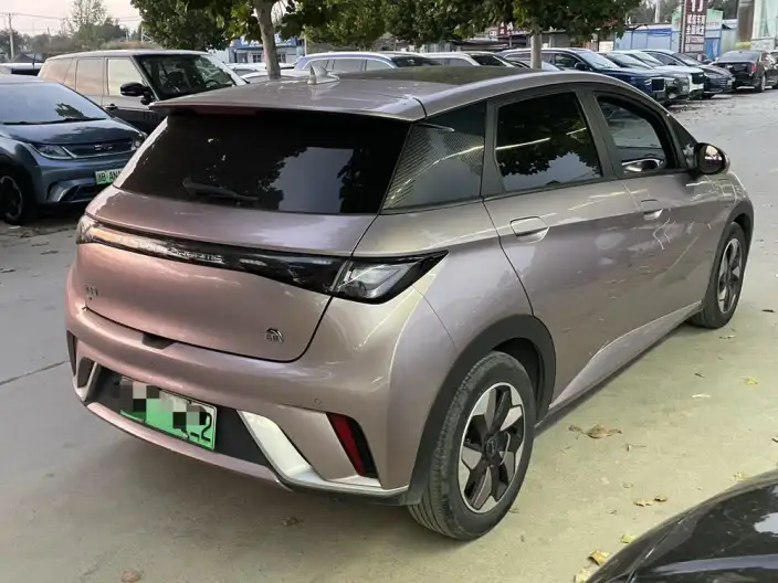 BYD Dolphin 2024 Model Honor Edition 420km Free Edition – фото 4
