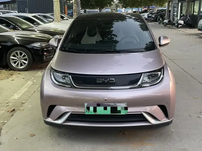 BYD Dolphin 2024 Model Honor Edition 420km Free Edition – фото 5
