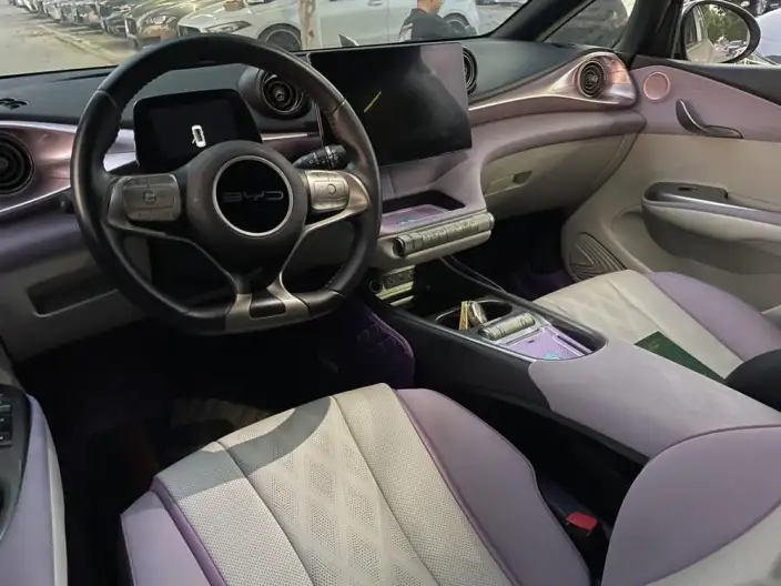 BYD Dolphin 2024 Model Honor Edition 420km Free Edition – фото 6