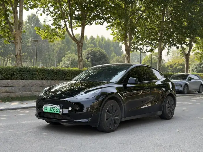 Model Y 2023 Model Rear-wheel drive version – фото 1