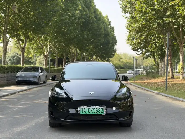 Model Y 2023 Model Rear-wheel drive version – фото 2