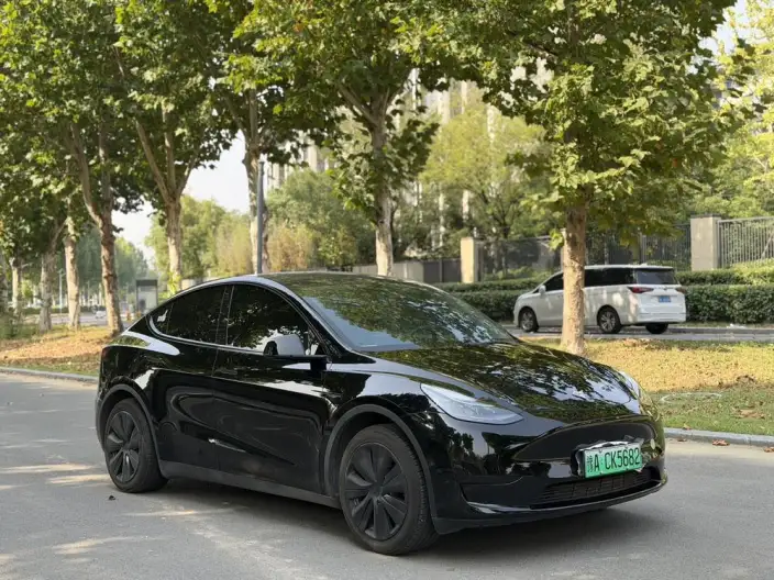 Model Y 2023 Model Rear-wheel drive version – фото 3