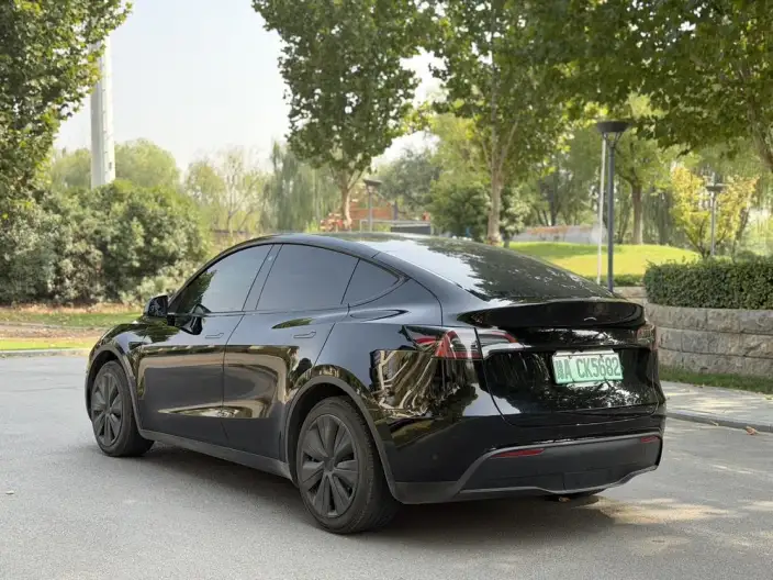 Model Y 2023 Model Rear-wheel drive version – фото 4