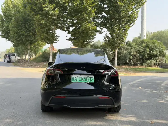 Model Y 2023 Model Rear-wheel drive version – фото 5