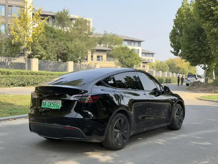 Model Y 2023 Model Rear-wheel drive version – фото 6