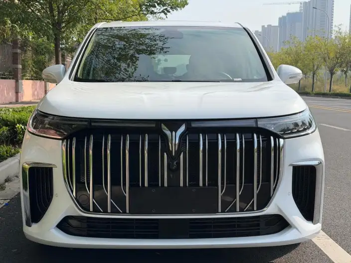 VOYAH Dreamer PHEV 2024 Model Ultra-long Endurance Superior Edition – фото 7