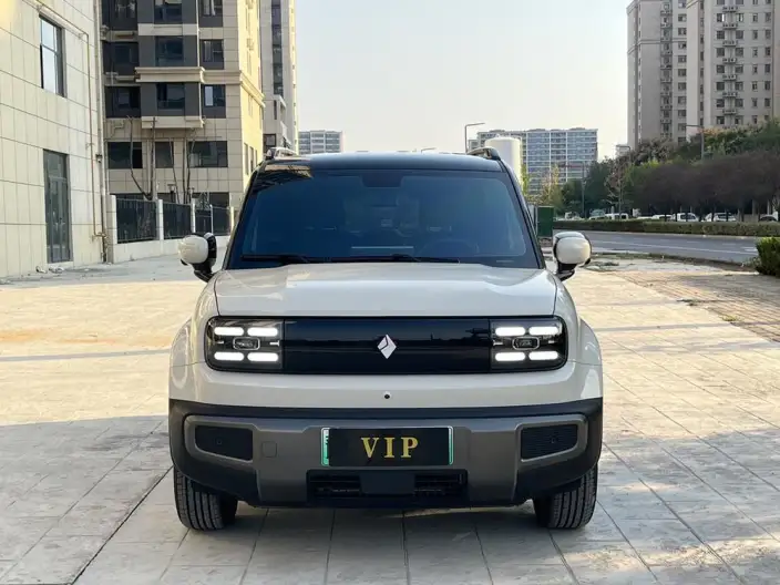 Yueye Plus 2026 Model 301km Ultimate Edition