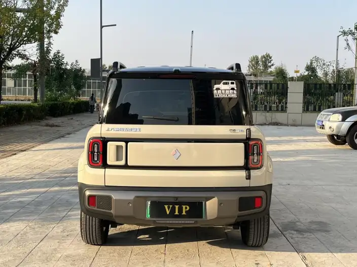 Yueye Plus 2026 Model 301km Ultimate Edition – фото 6