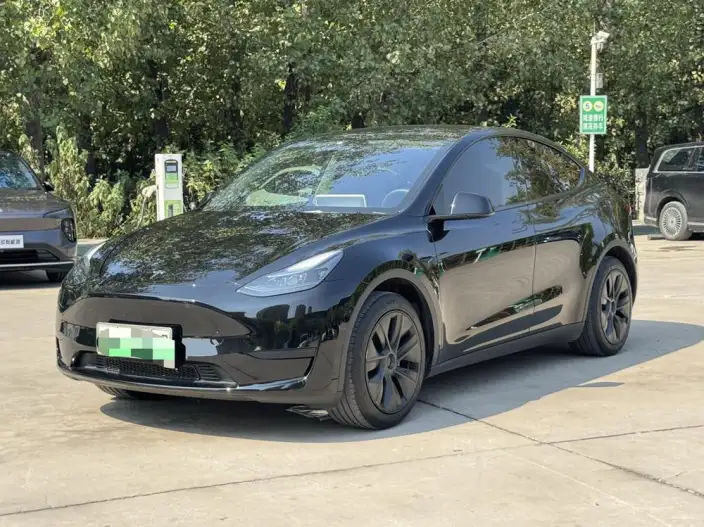 Model Y 2024 Model Rear-wheel drive version – фото 1