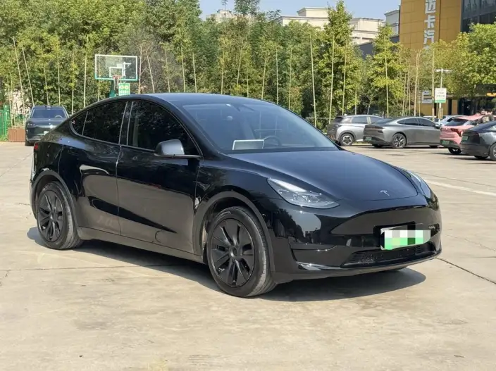 Model Y 2024 Model Rear-wheel drive version – фото 3