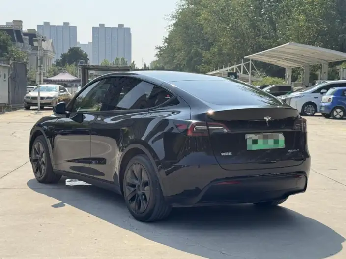 Model Y 2024 Model Rear-wheel drive version – фото 4