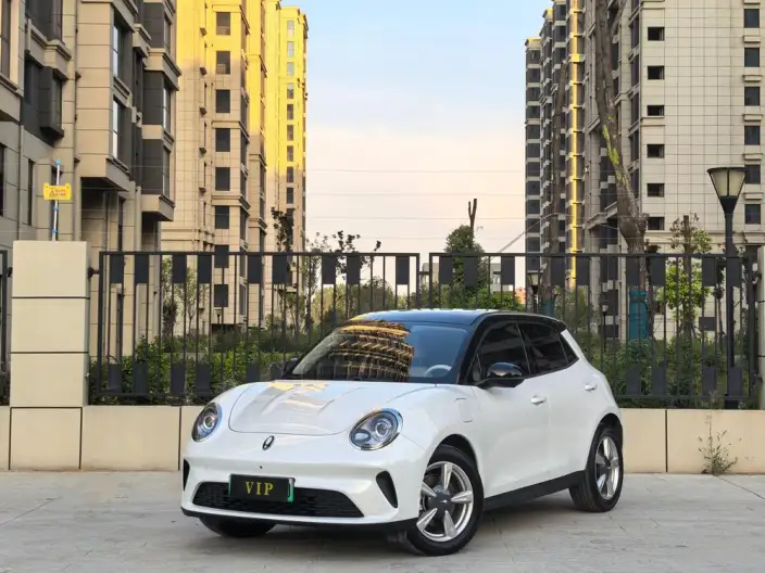 ORA Good Cat 2025 Model 430km Luxury Model – фото 1