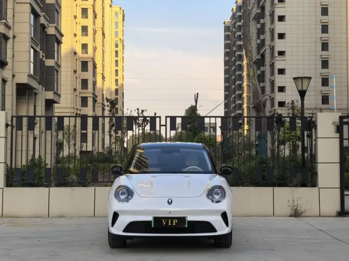 ORA Good Cat 2025 Model 430km Luxury Model – фото 2